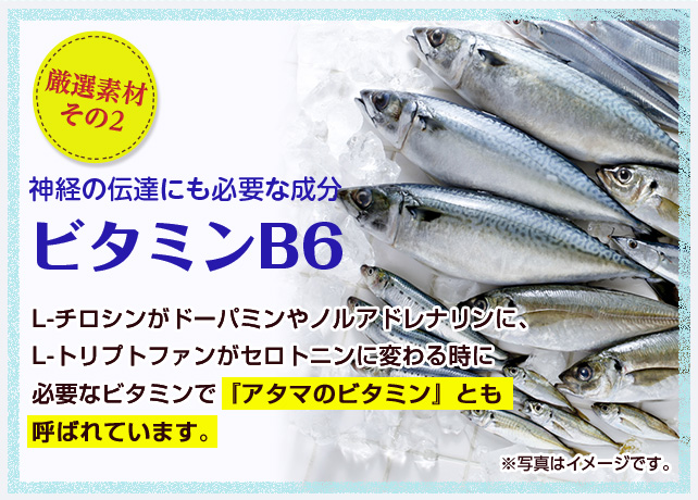 厳選素材その2やる気物質のドーパミンの原料L-チロシン/L-チロシンって？チーズ、納豆、味噌、乳製品などに含まれるアミノ酸の一種で、ドーパミンやノルアドレナリンの原料となることが知られています。注意力が必要な方やストレスを感じやすい方は積極的に摂るとよい栄養素です。